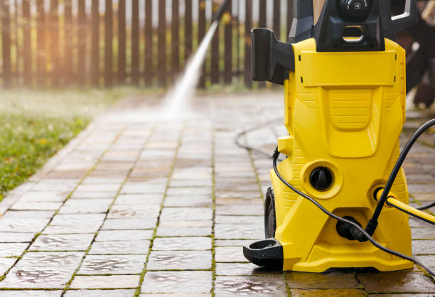 Best Rust Removal  in Lacoochee, FL